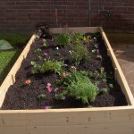 Planted Raised Flower Bed Planted Raised Flower Bed