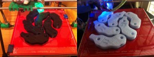 Printing for the February Event